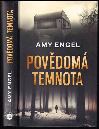 Povědomá temnota (Amy Engel, 2020)