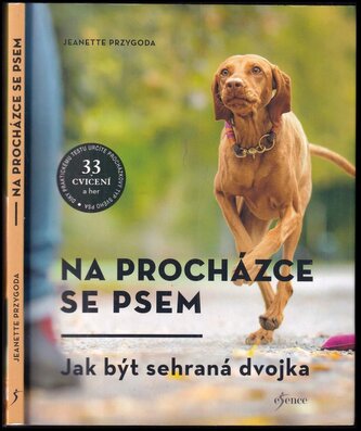 Na procházce se psem : zábava pro každý typ psa (Jeanette Przygoda, 2020)