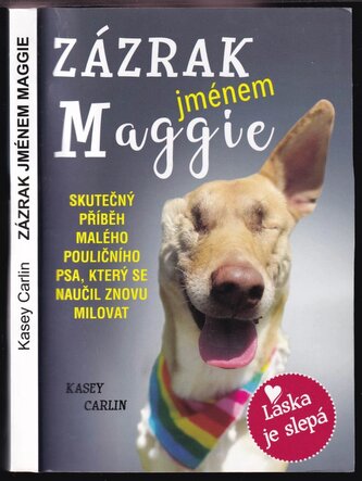 Zázrak jménem Maggie (Kasey Carlin, 2020)