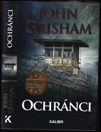 Ochránci (John Grisham, 2020)