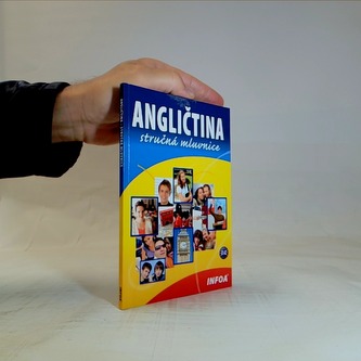 Angličtina stručná mluvnice