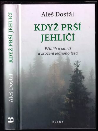 Když prší jehličí : příběh o smrti a zrození jednoho lesa (Aleš Dostál, 2021)