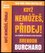 Když nemůžeš, přidej! (Brendon Burchard, 2021)