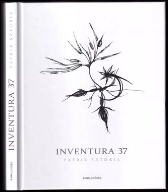 Inventura 37 (Satoria Patrik, 2021)
