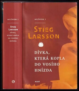 Dívka, která kopla do vosího hnízda : Milénium 3 - 3 (Stieg Larsson, 2011)