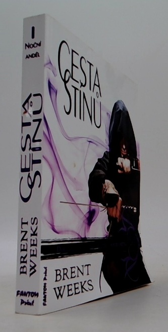 Noční Anděl 1 - Cesta stínů