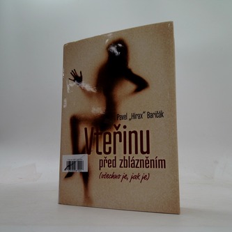 Vteřinu před zblázněním (všechno je, jak je)