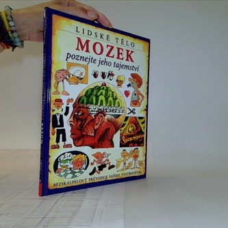 Mozek