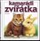 Kamarádi zvířátka ; [ilustrovala Barbora Dančová ... [et al.]] (Jiří Žáček, 2002)