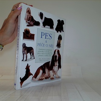 Pes a péče o něj