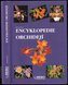 Encyklopedie orchidejí
