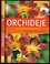 Orchideje : [krok za krokem k exotické nádheře] (Frank Röllke, 2007)