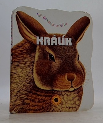Králík