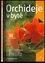 Orchideje v bytě (Eva Sedláčková, 2006)