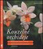 Kouzelné orchideje