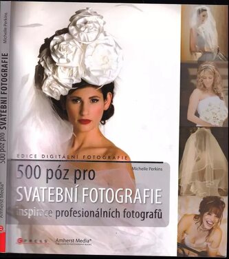 500 póz pro svatební fotografie : inspirace profesionálních fotografů (Michelle Perkins, 2011)