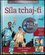 Síla tchaj-ťi + DVD (Shao Zhao-Ming, 2011)